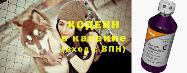 дживик Богородицк