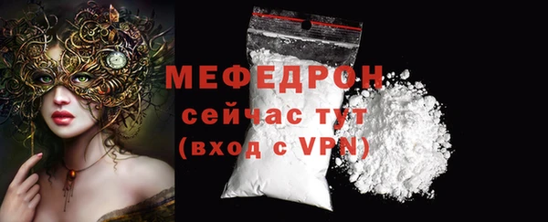 гидра Богородск