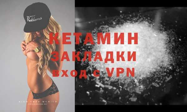 дмт Богданович