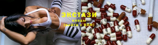 гидра Богородск