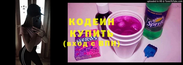 дмт Богданович