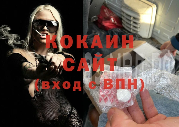 дмт Богданович