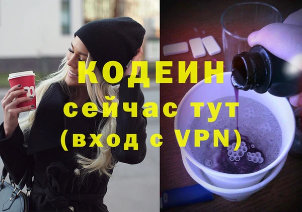 дмт Богданович