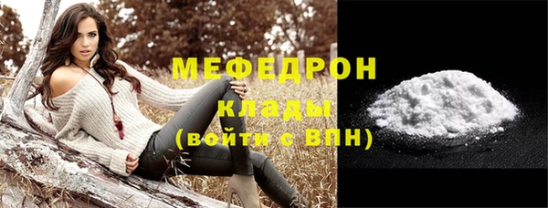 гидра Богородск