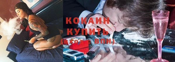трава Бородино