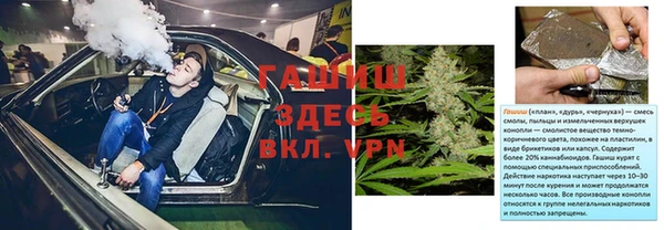 дмт Богданович