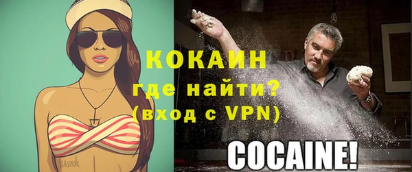 дживик Богородицк