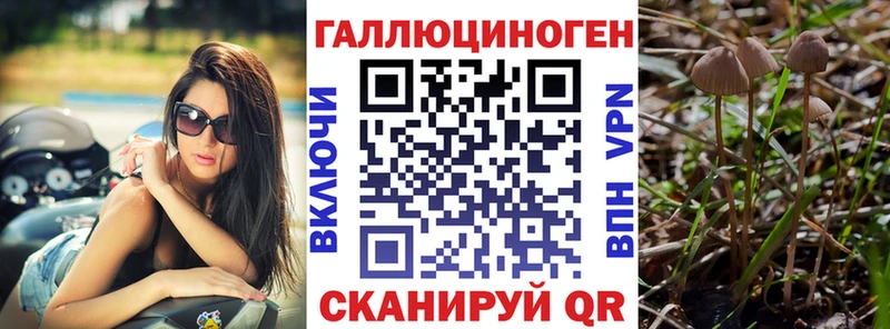 Галлюциногенные грибы мухоморы  Елабуга 